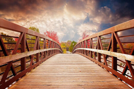 谁也不能为你建造一座你必须踏着它渡过生命之河的桥